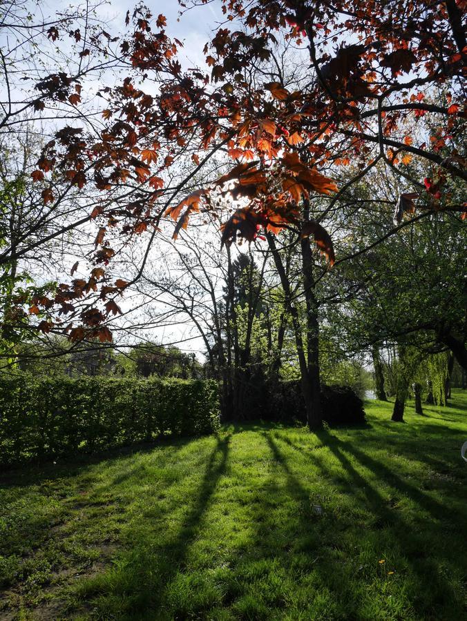 Le Jardin De La Reyssouze Bed & Breakfast Gorrevod Luaran gambar